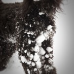 20110303132103