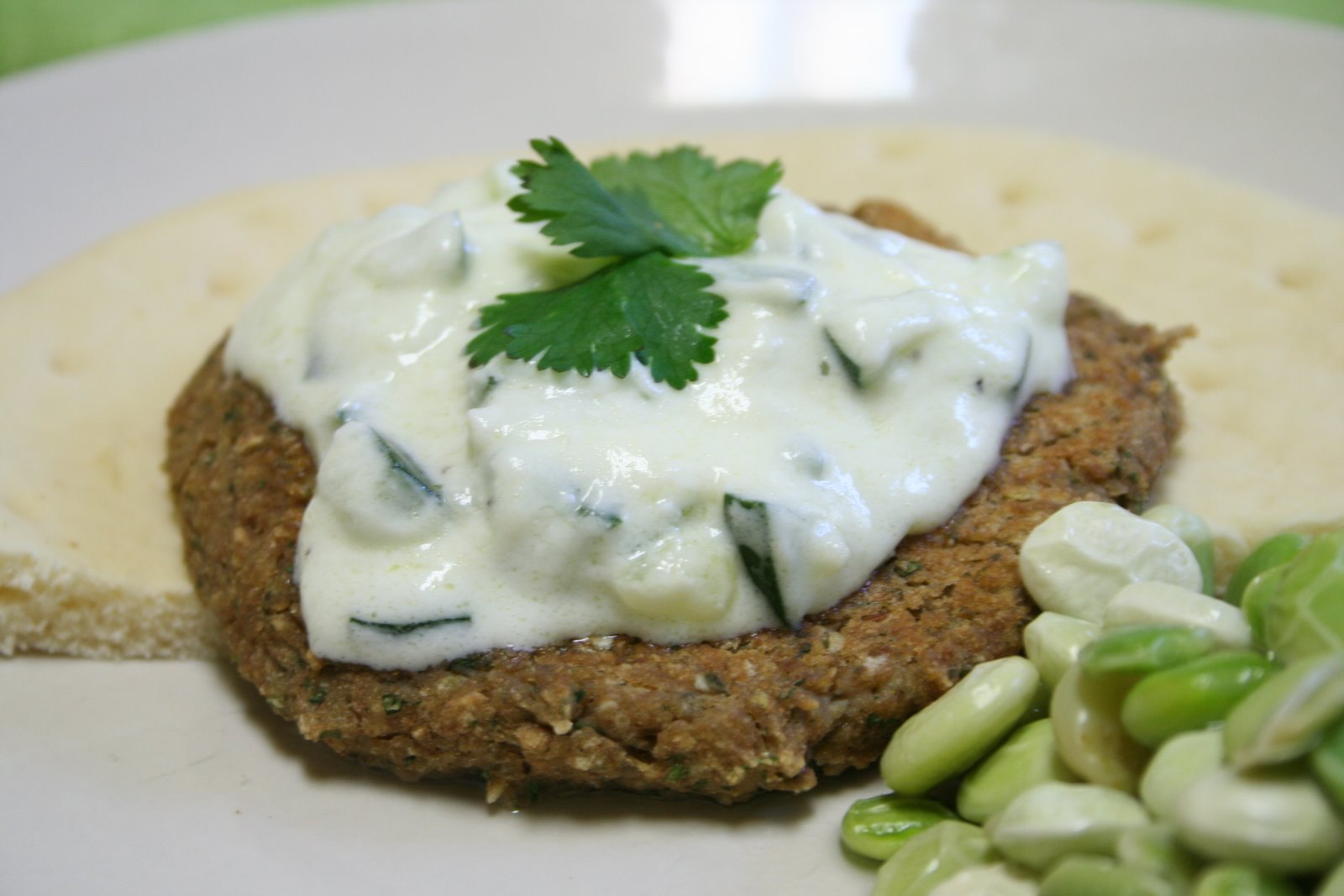Falafel with Tzatziki sauce