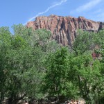 IMG_5854