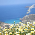 sea