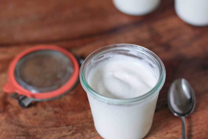 homemade vanilla bean yogurt recipe