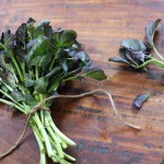 What is watercress?