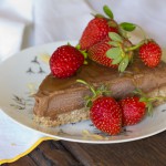 Dairy free Chocolate Ice Cream Torte