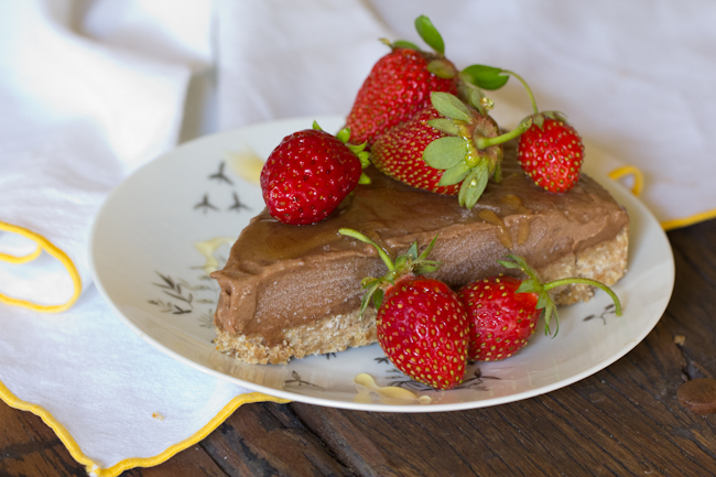 Dairy free chocolate ice cream torte recipe