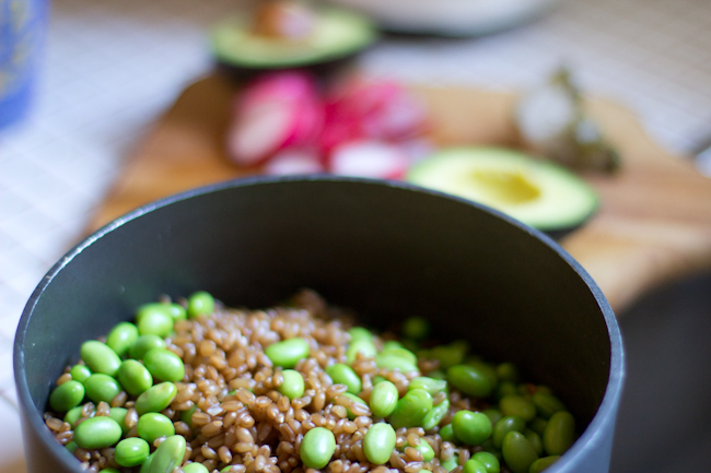 Farro Pesto Salad with Edamame Avocado and Radishes