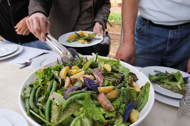 Farm Salad Recipe with Beans and Potatoes