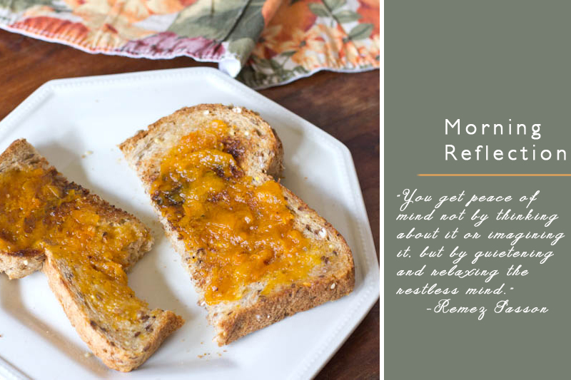 Easy Apricot Jam Recipe