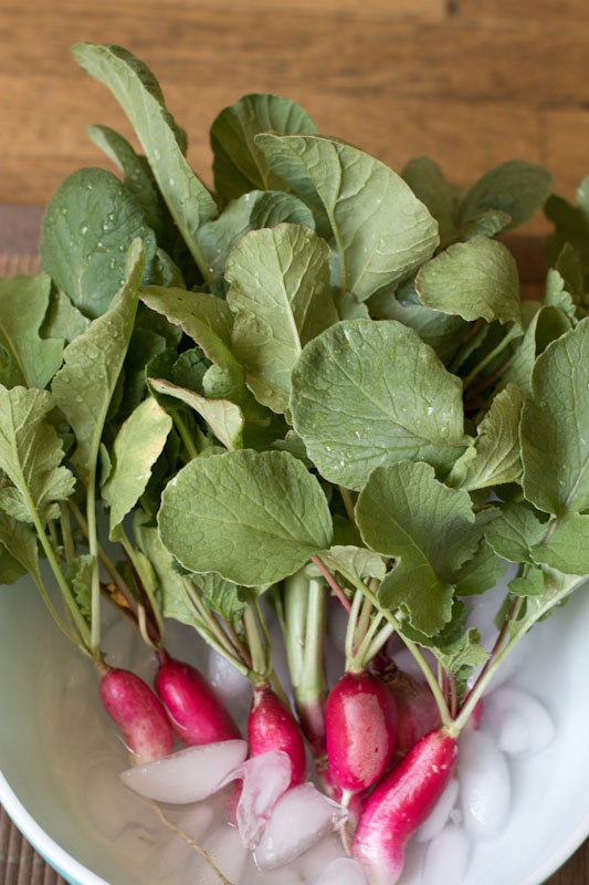 urban farm radishes