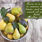 Pear Butter Recipe