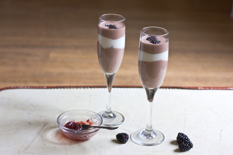 Chocolate and Vanilla Bean Yogurt Parfaits