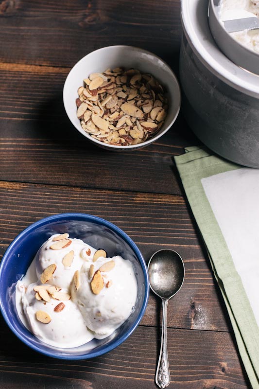 Honey Almond Frozen Yogurt Recipe