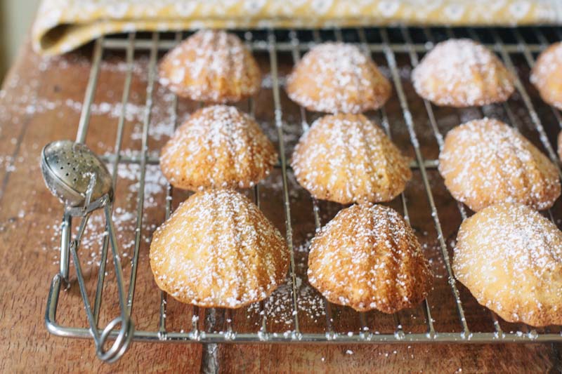 Honey Madeleines Recipe