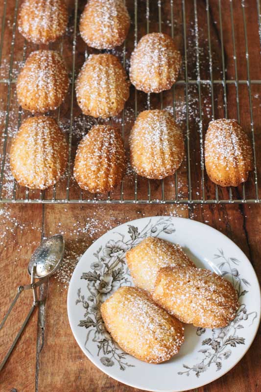 Honey Madeleines Recipe