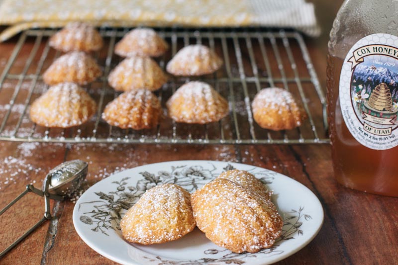 Honey Madeleines Recipe