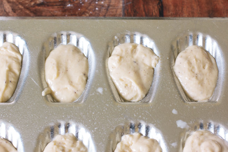 Honey Madeleines Recipe