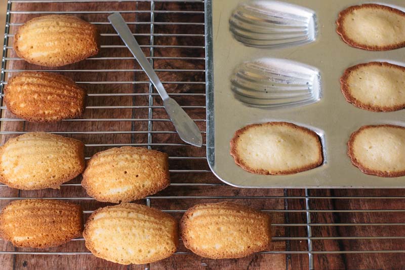 Honey Madeleines Recipe • theVintageMixer.com