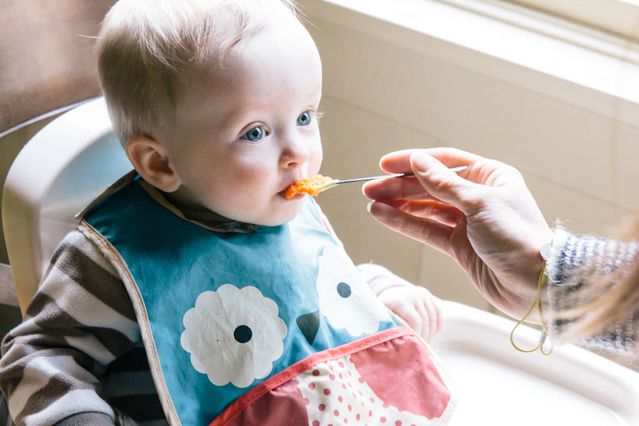 A Guide to a Baby’s First Foods | Vintage Mixer