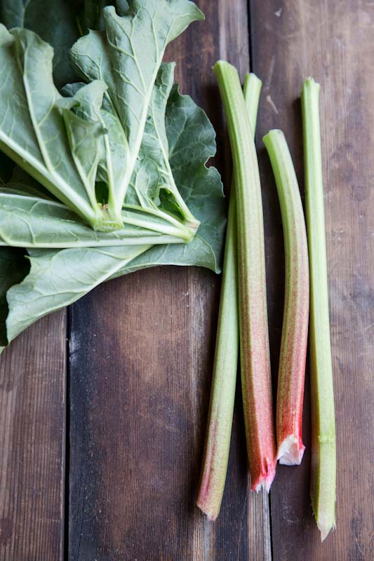 Rhubarb Coffee Cake Recipe • theVintageMixer.com #eatseasonal