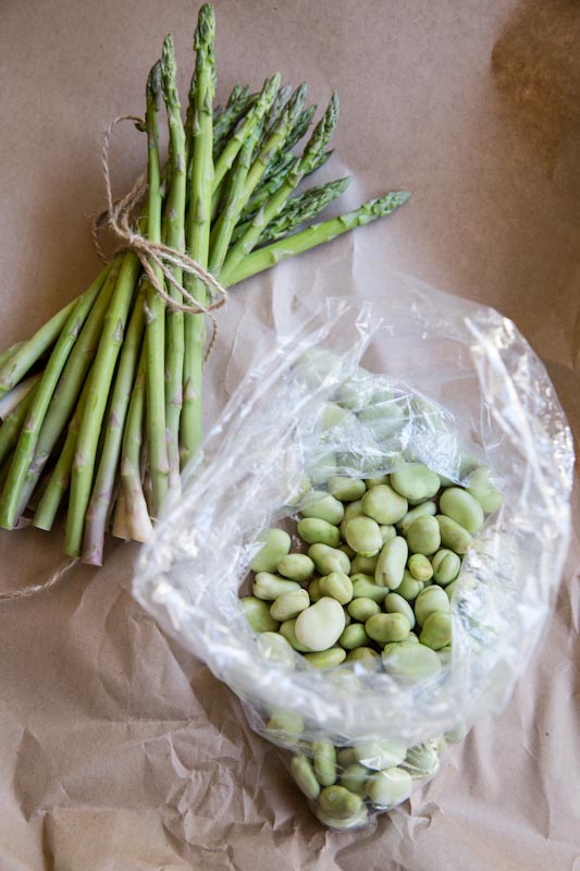 Fava Bean and Asparagus Orzo Salad Recipe • theVintageMixer.com