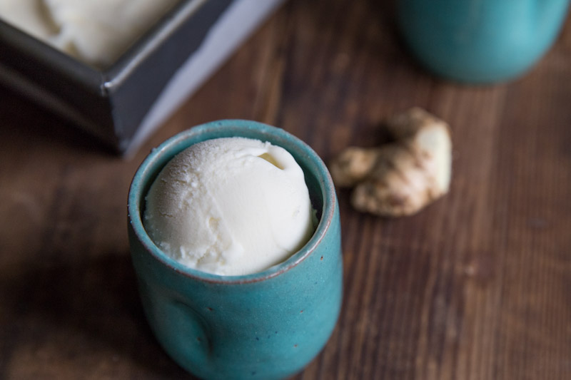 Ginger Vanilla Bean Frozen Yogurt Recipe • theVintageMixer.com