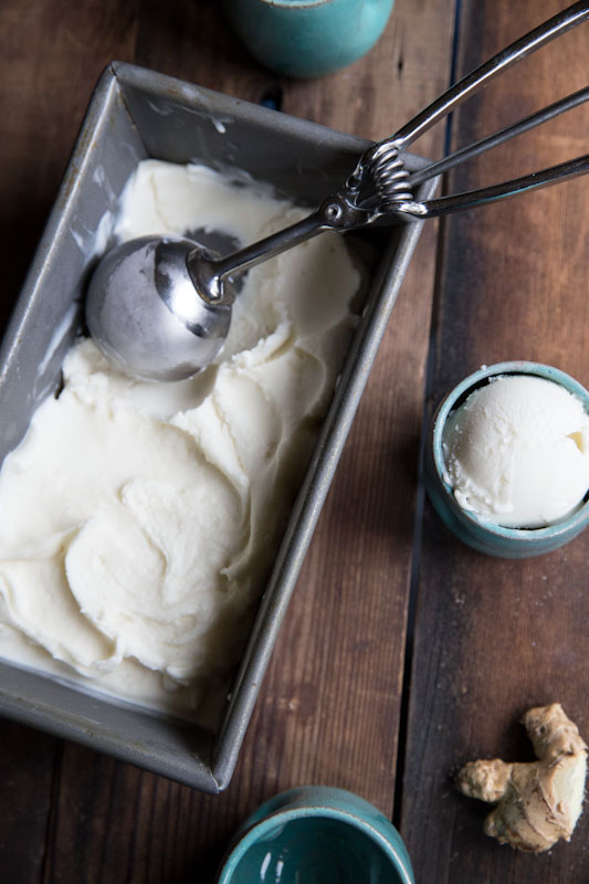 Ginger Vanilla Bean Frozen Yogurt Recipe • theVintageMixer.com