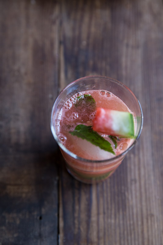 Watermelon Mojito Recipe • theVintageMixer.com