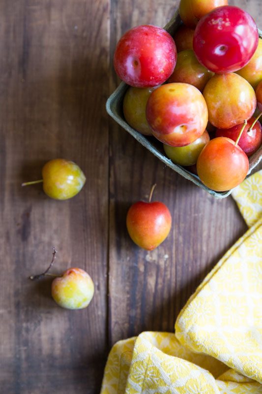 Plum Upside Down Cake Recipe • theVintageMixer.com