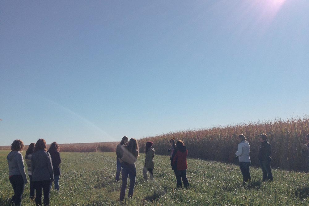 Iowa Corn Farming