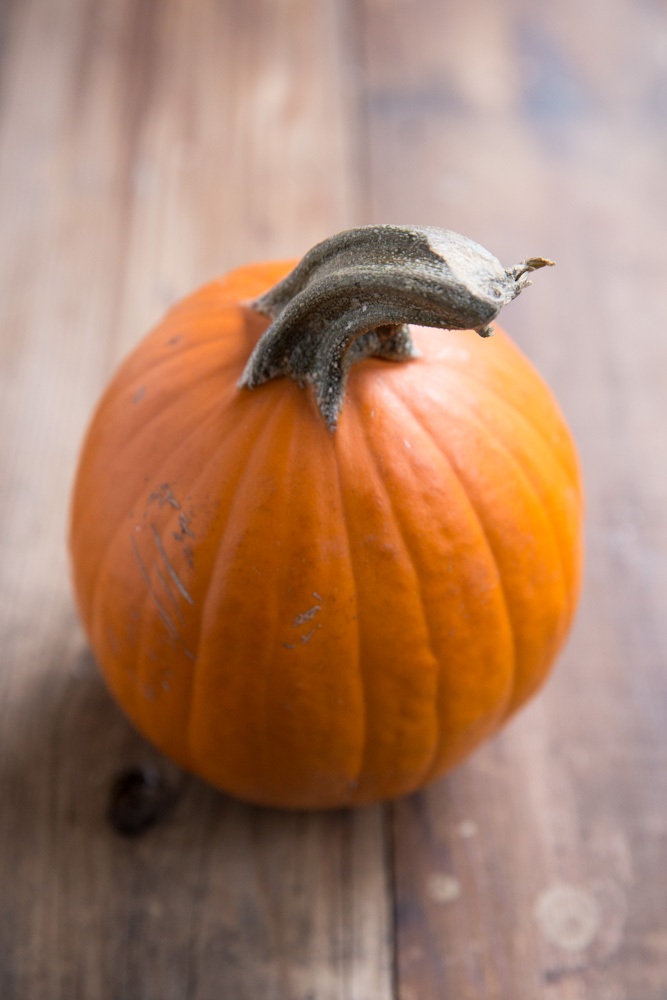 Homemade Pumpkin Puree Recipe • theVintageMixer.com