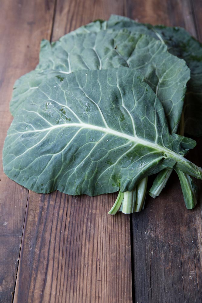 Kale and Collard Green Gratin Recipe • theVintageMixer.com #Thanksgiving