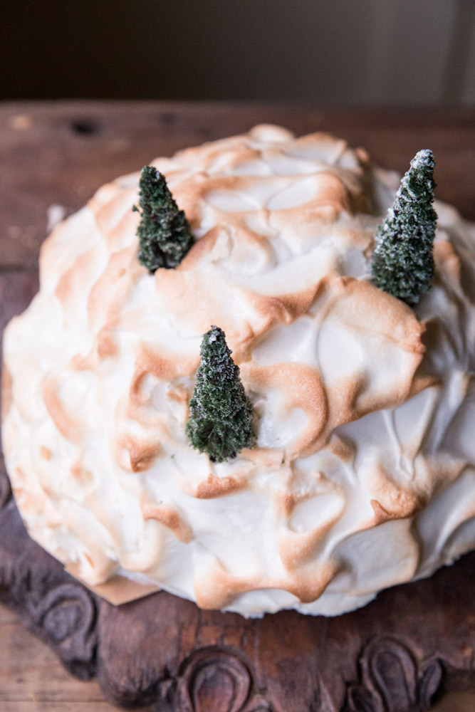 Red Velvet Baked Alaska Christmas Cake • theVintageMixer.com #Christmas