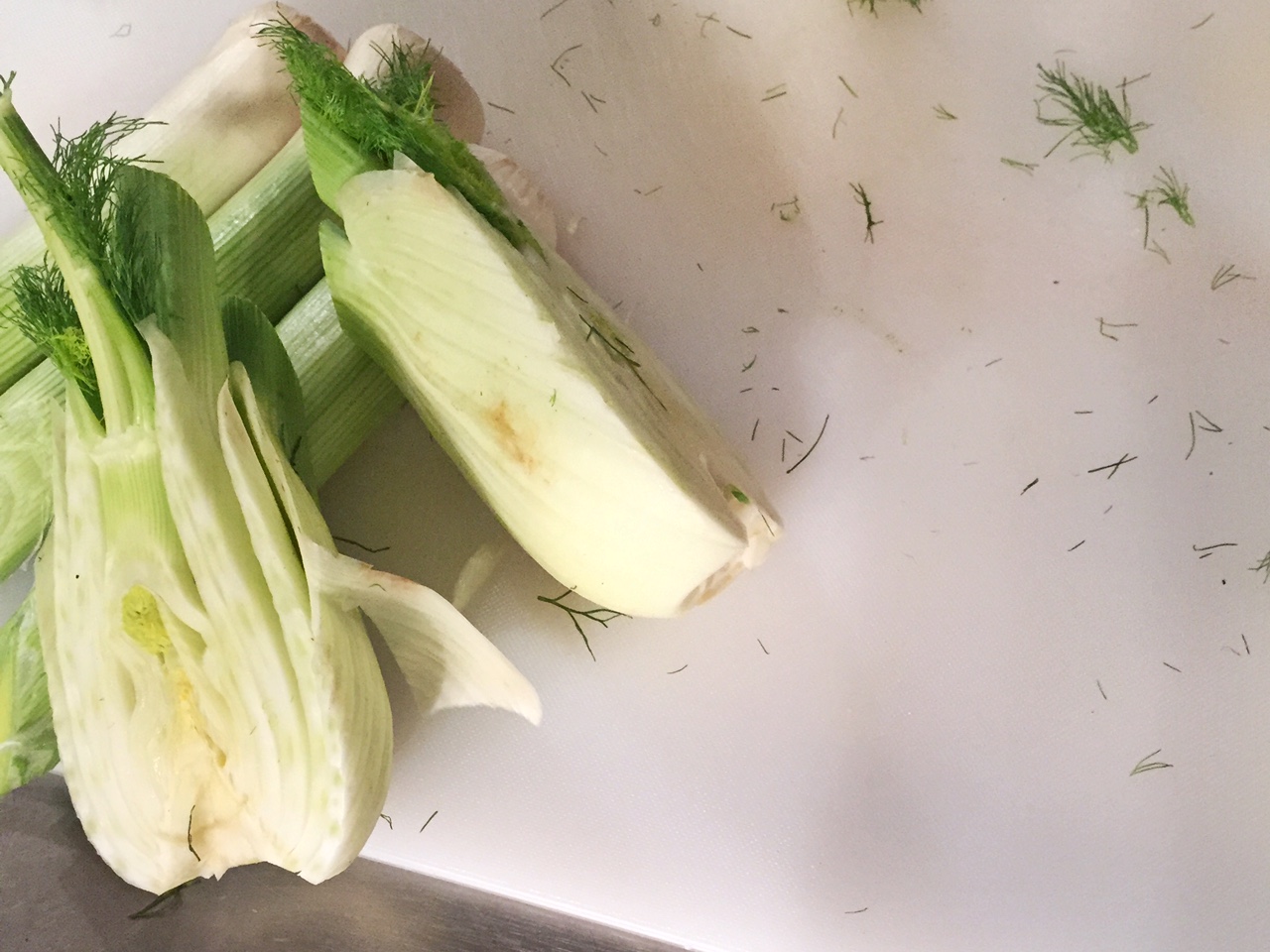 Culinary School Fennel • theVintageMixer.com #culinaryschool