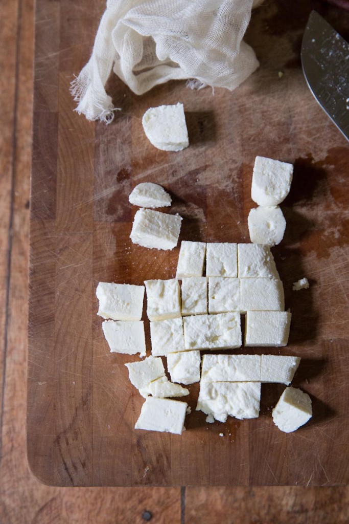 paneer cheese recipe