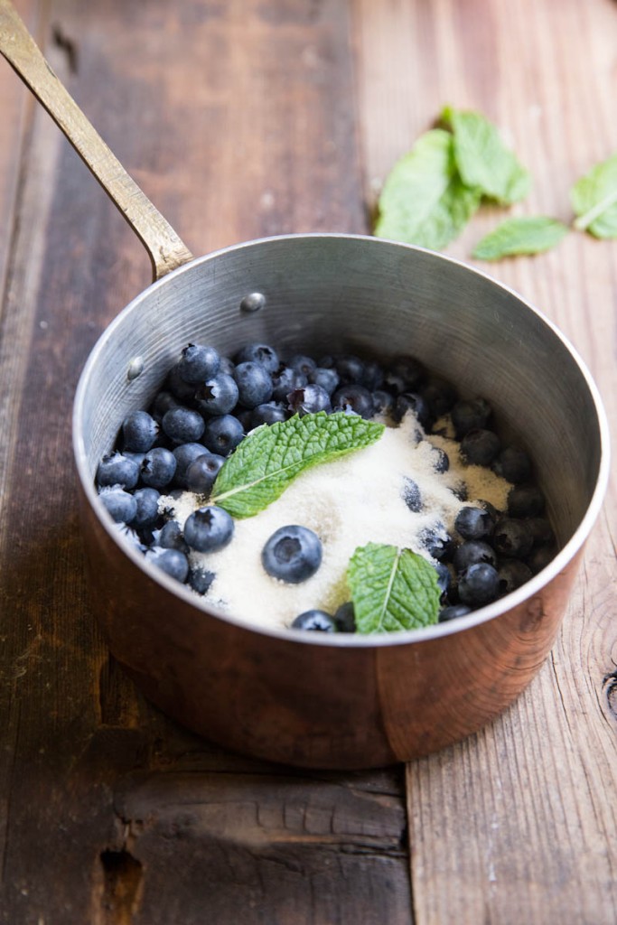 blueberry mint gin cocktail recipe • theVintageMixer.com #cocktail