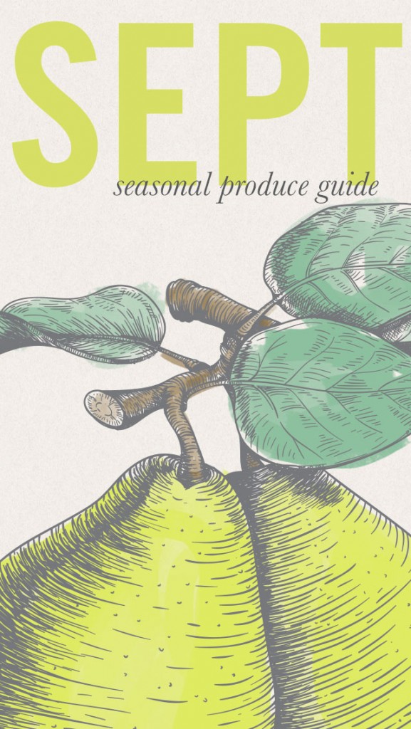 Plan your meals based on what's in season with this Seasonal Produce Guide • theVintageMixer.com #eatseasonal