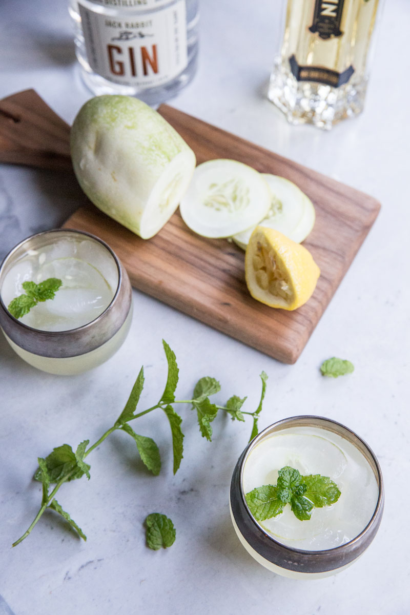 The Botanist Gin Cocktail Vintage Mixer