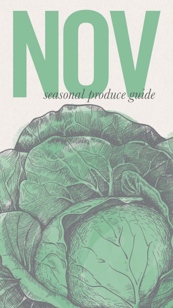 November Seasonal Recipes and iPhone Screensaver • theVintageMixer.com #eatseasonal #healthyrecipes