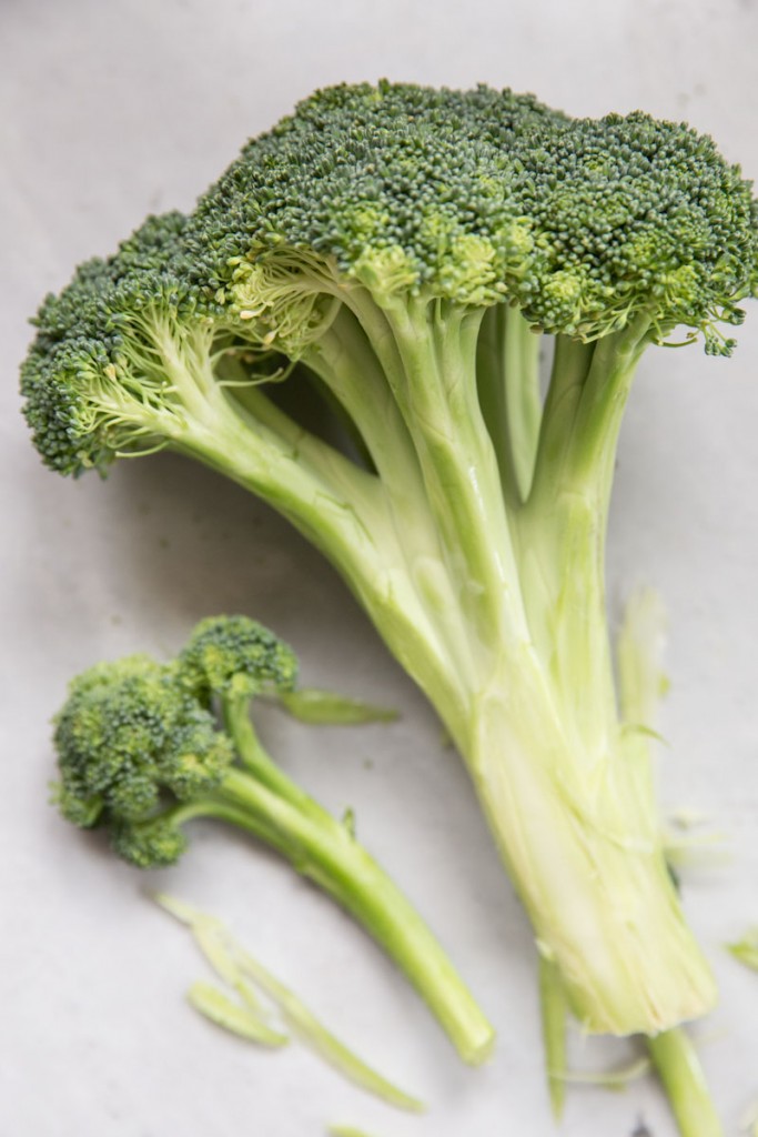 Roasted and Charred Broccoli Pasta Recipe • theVintageMixer.com #healthyrecipe #cleaneating #broccoli #pastarecipe