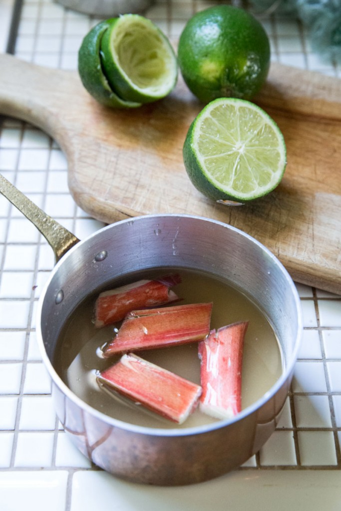 Rhubarb Mint Limeade Recipe • theVintageMixer.com #limeade #summerdrink #drinkrecipe