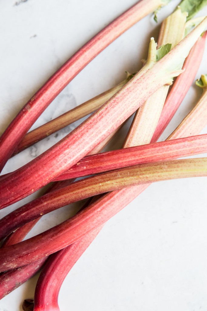 Rhubarb Custard Cake Recipe • theVintageMixer.com #cake #custardcake #rhubarb #rhubarbdessert #eatseasonal