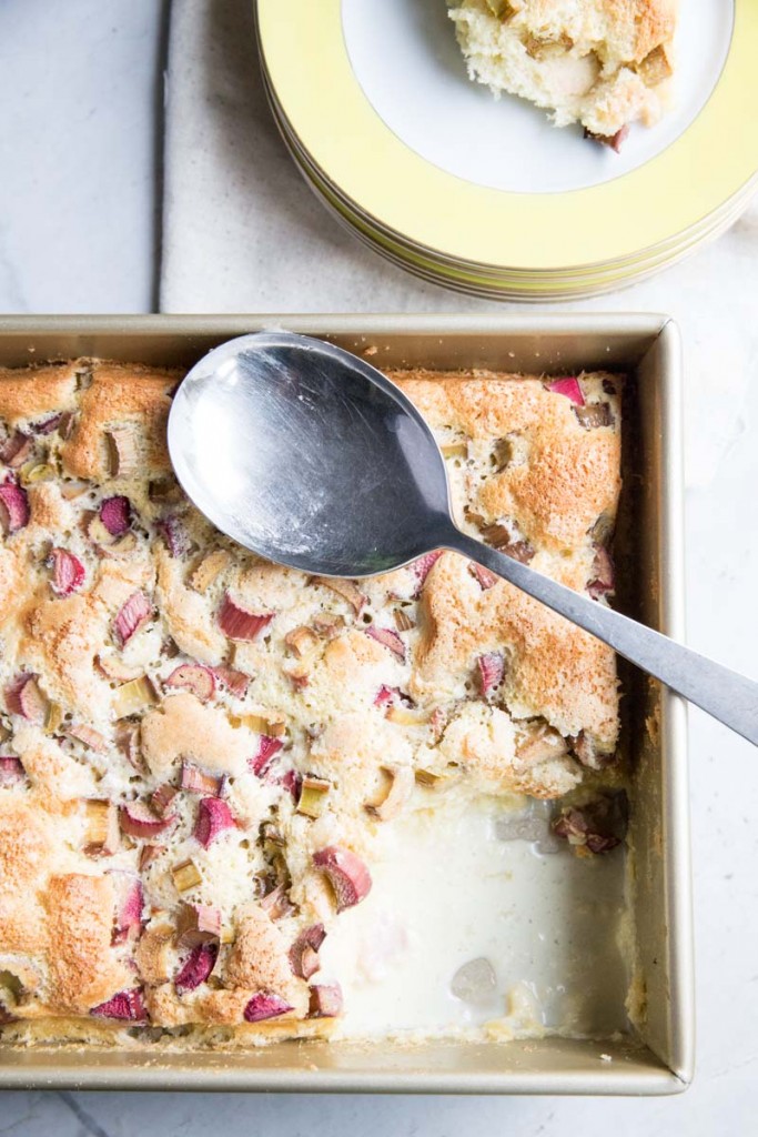 Rhubarb Custard Cake Recipe • theVintageMixer.com #cake #custardcake #rhubarb #rhubarbdessert #eatseasonal