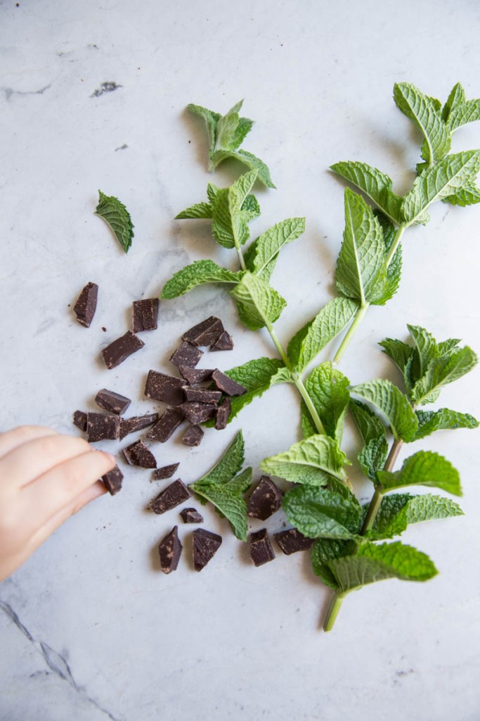 Fresh Mint Chocolate Chip Cookie Recipe • theVintageMixer.com #chocolatechipecookies #cookierecipe