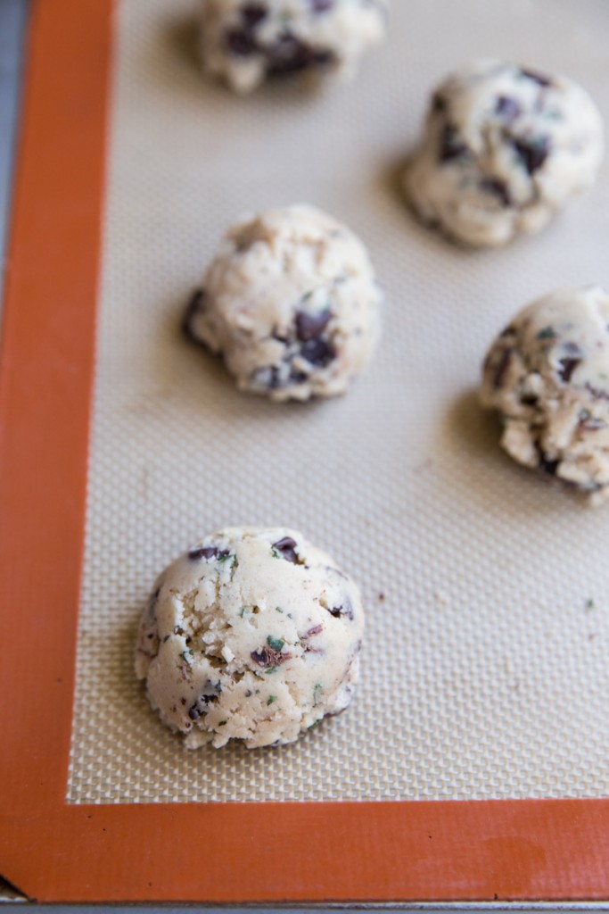 Fresh Mint Chocolate Chip Cookie Recipe • theVintageMixer.com #chocolatechipecookies #cookierecipe