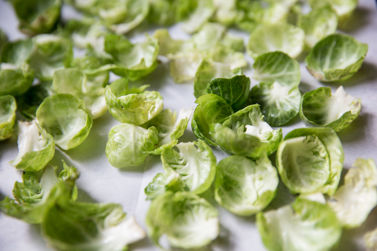 Pesto Pasta with Crispy Brussels Sprouts and Bacon Vintage Mixer