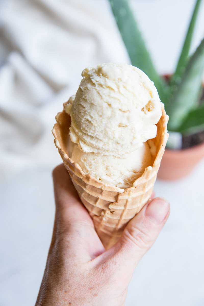 Homemade Vanilla Bean Ice Cream - Don't Waste the Crumbs