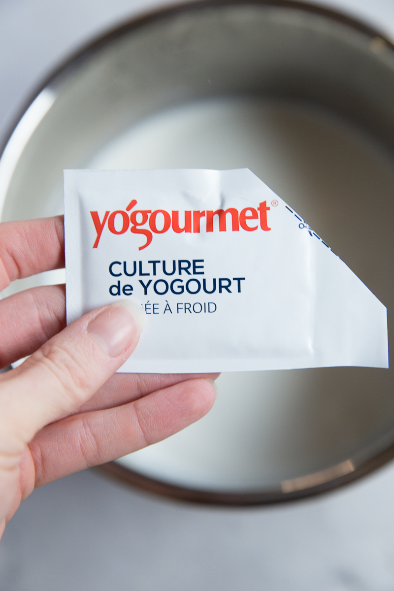 Yogurt Culture for making Greek Yogurt